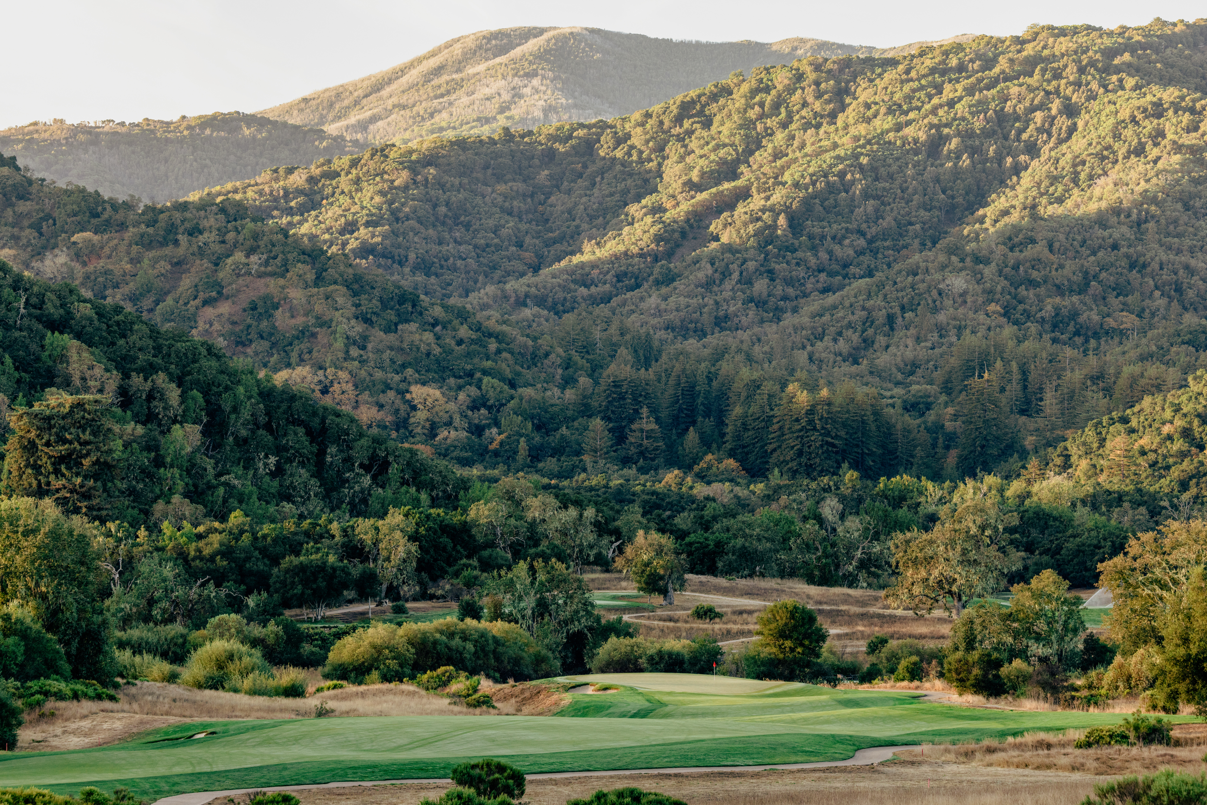 golflandscape